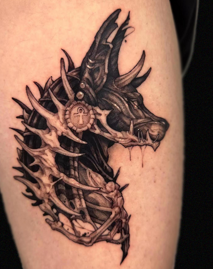 Anubis Reborn