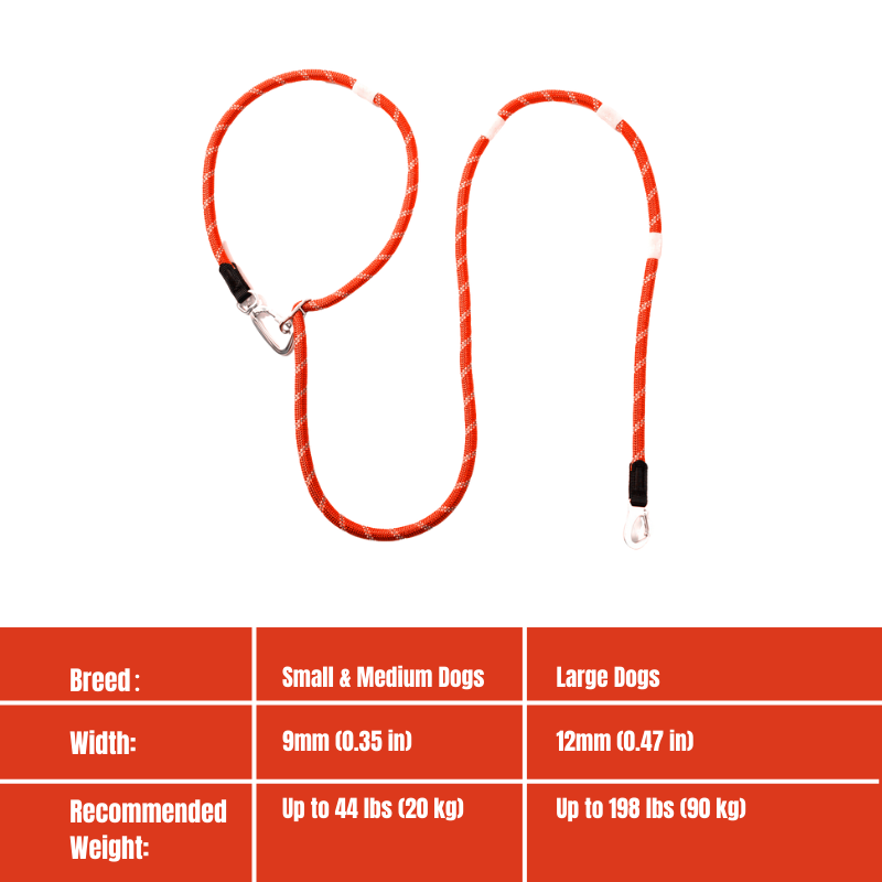 Glow-in-the-dark Pet Leash