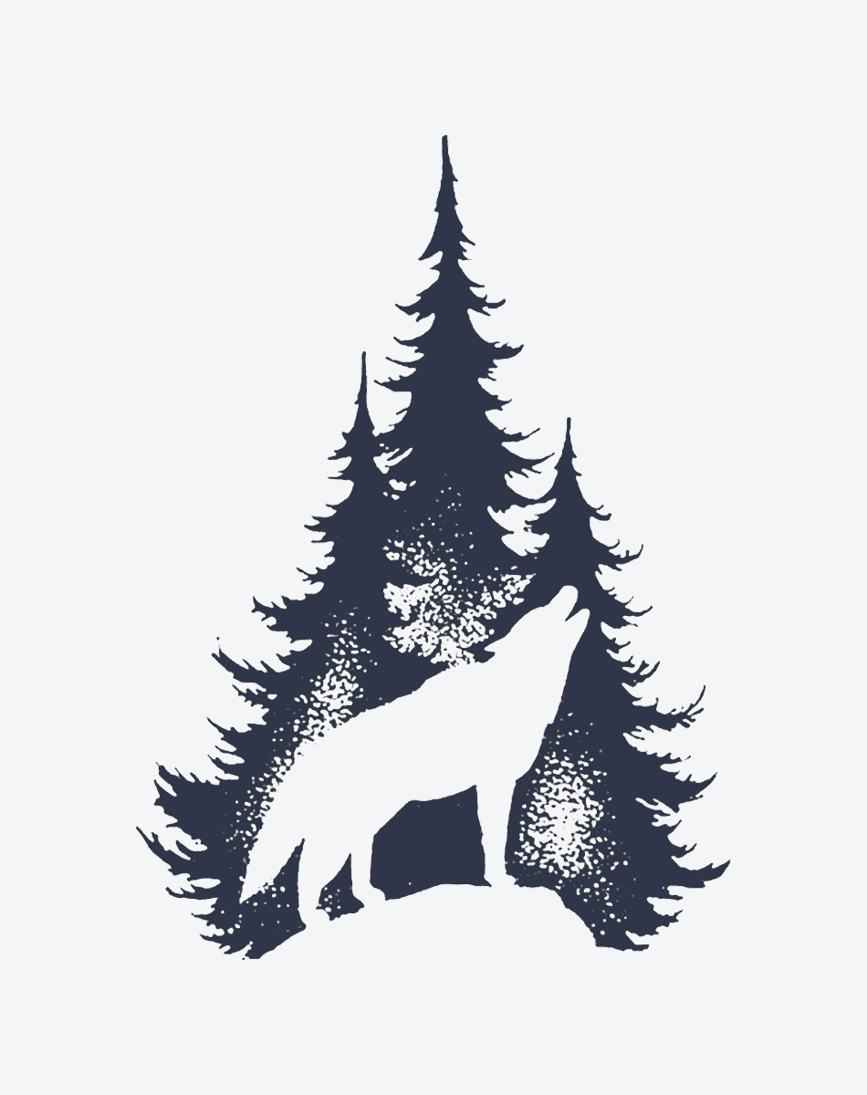 wolf in the forest