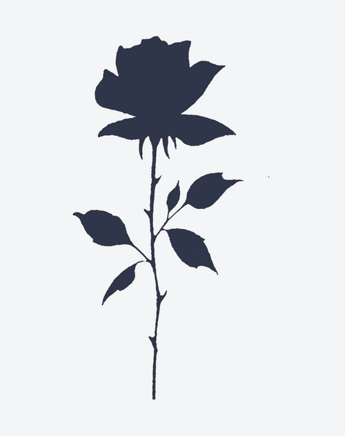 dark rose