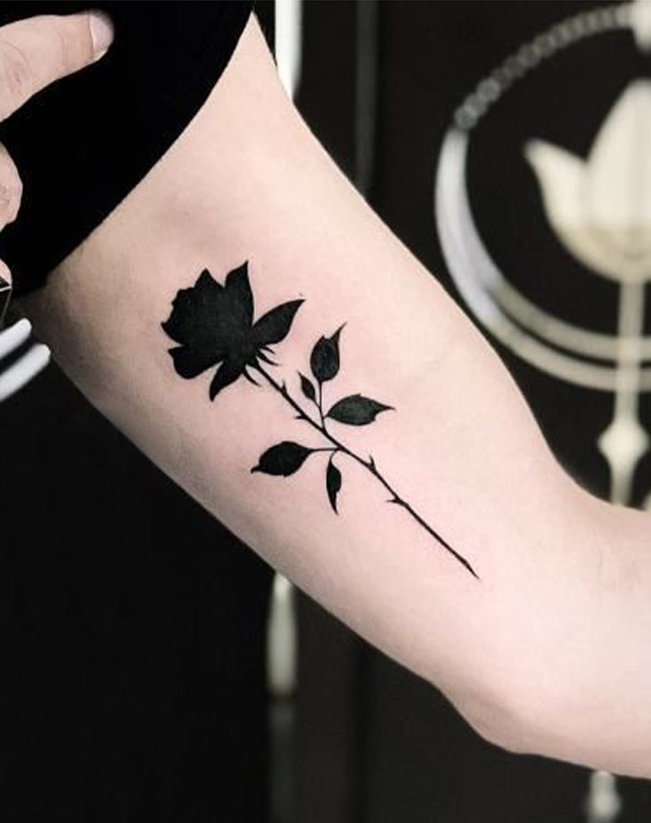 dark rose