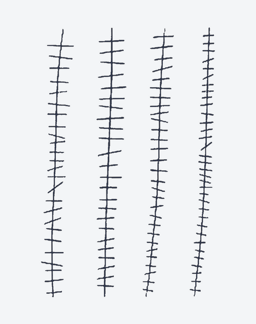 傷跡