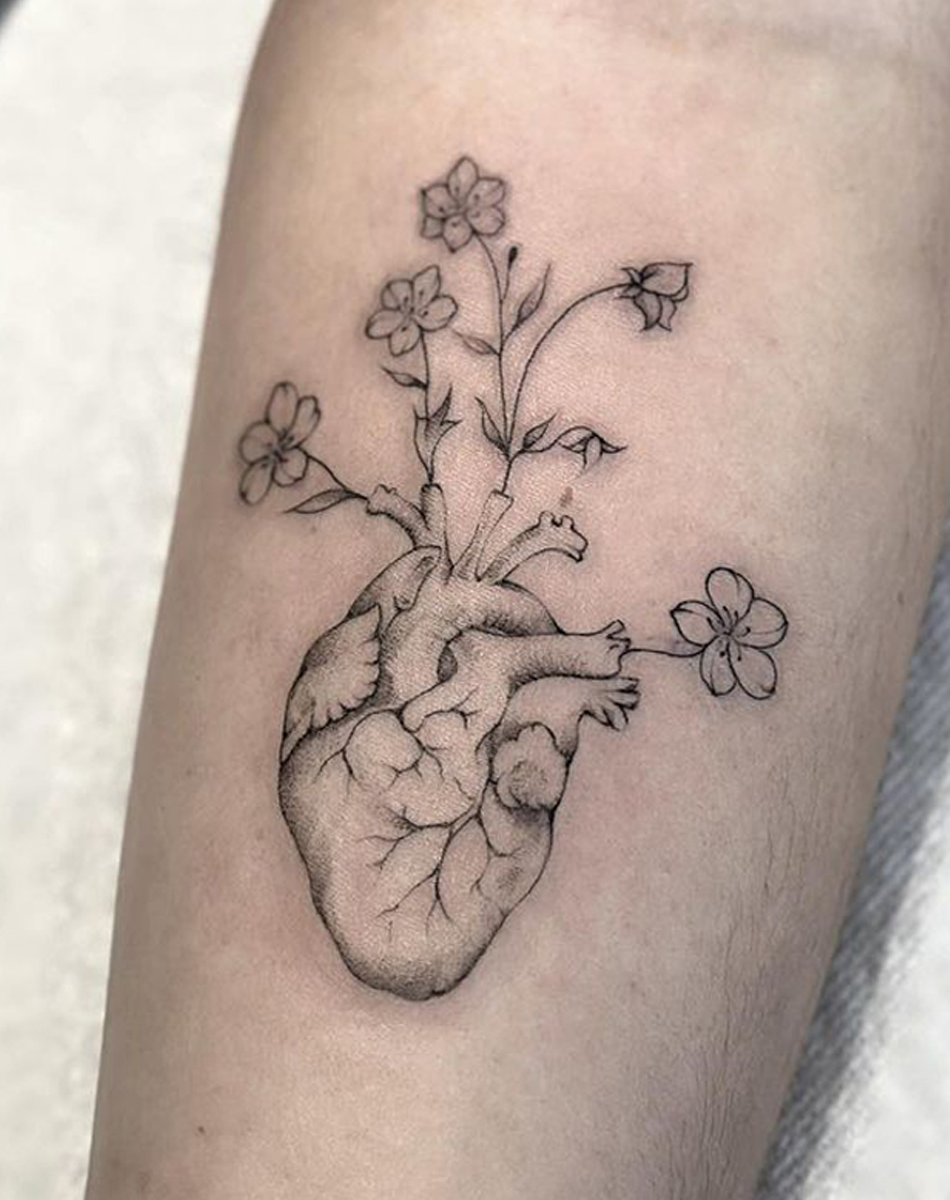 Herzblume 