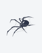 Web-building spider