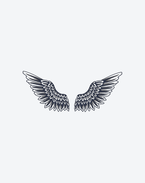 Wings of Ascent