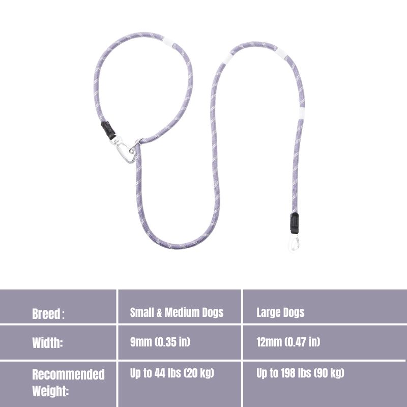 Glow-in-the-dark Pet Leash