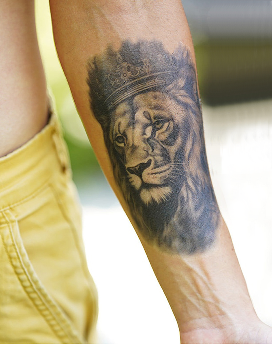 Kings of the Wild（5 pieces）