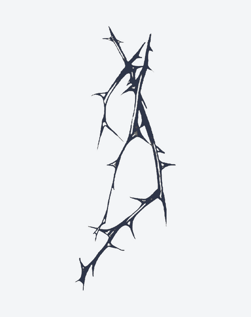 Thorn