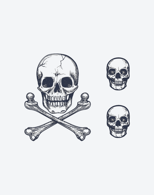 Human skeleton