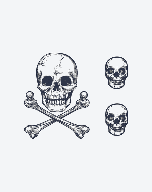 Human skeleton