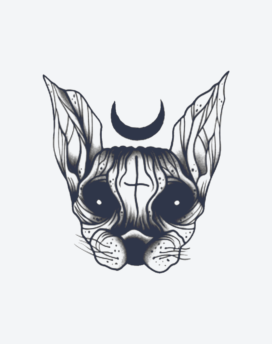 Sphinx Cat