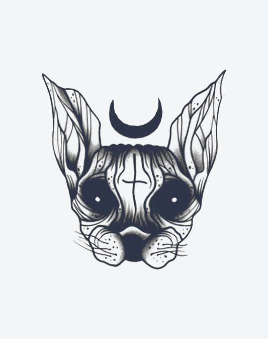 Sphinx Cat
