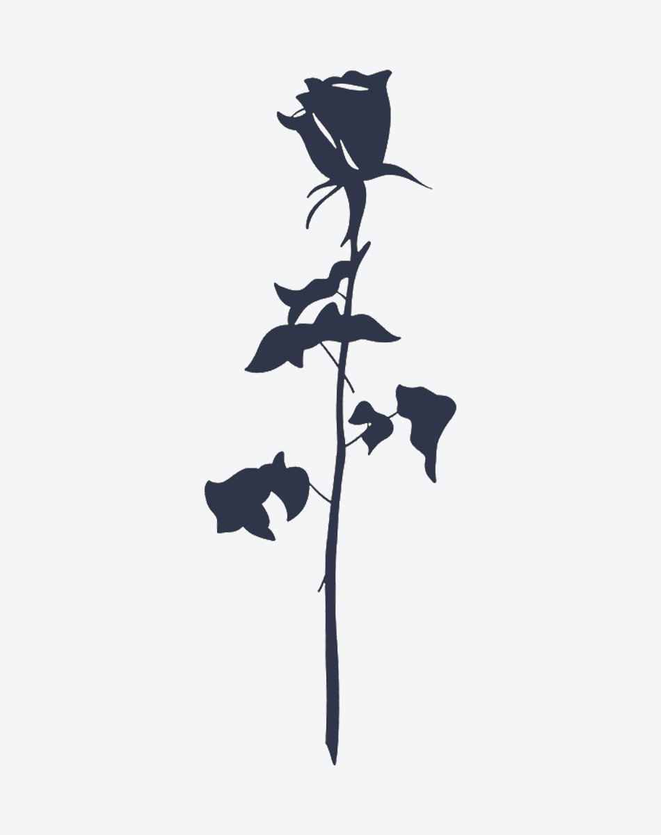 Silent Rose