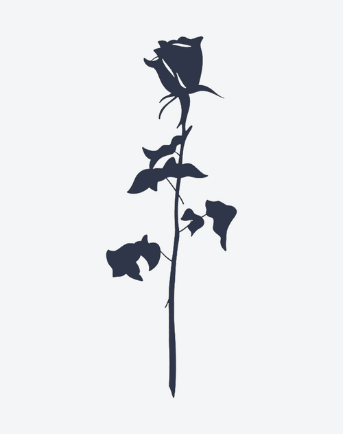 Silent Rose