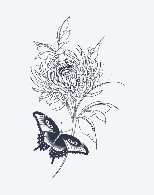 Chrysanthemum & Flight