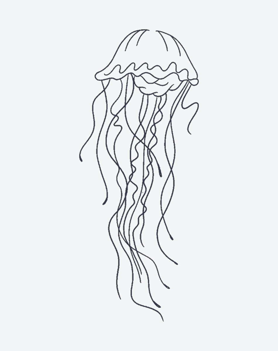Jellyfish