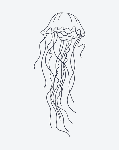 Jellyfish