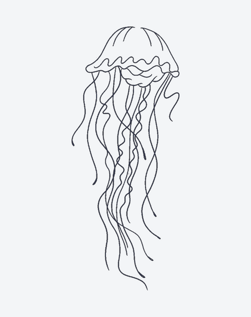Jellyfish
