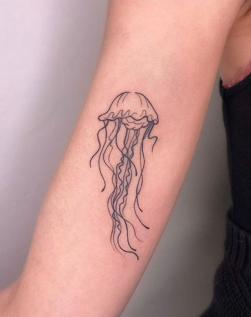 Jellyfish