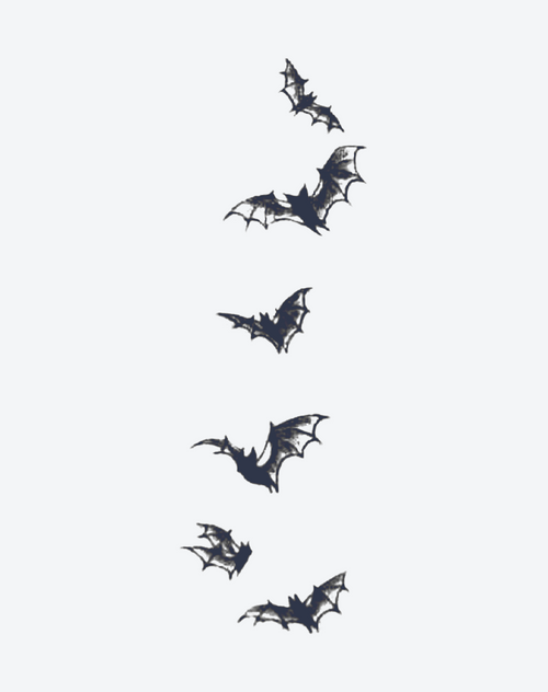 Wings of the Night