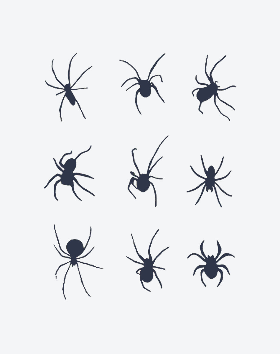 Spinnensilhouetten