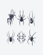 Arachnid Accents