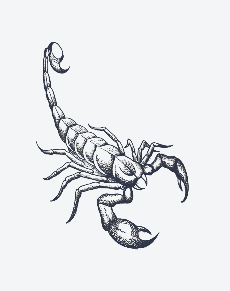 Großer Skorpion