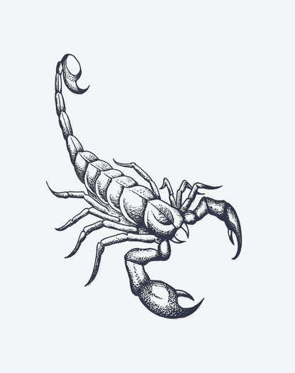 Großer Skorpion