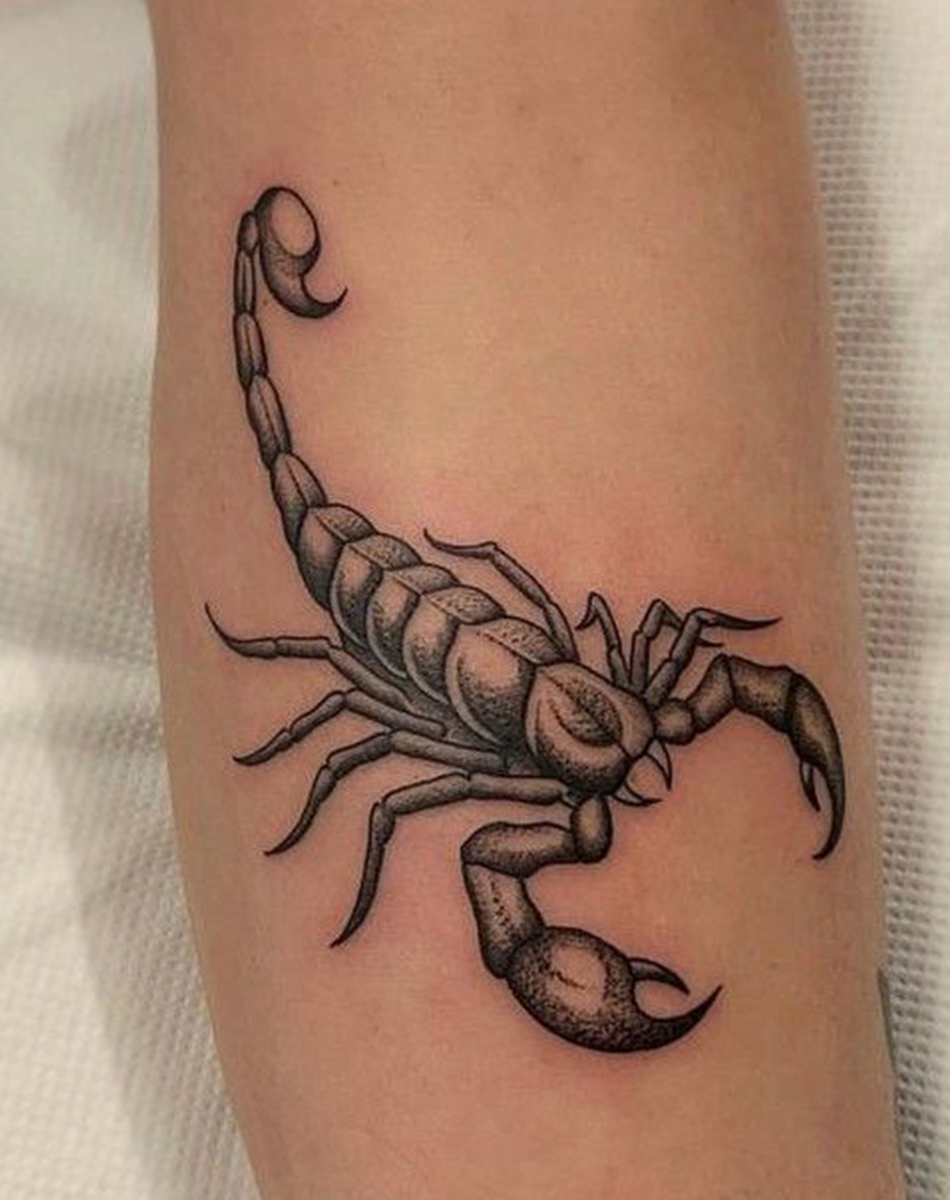 Großer Skorpion