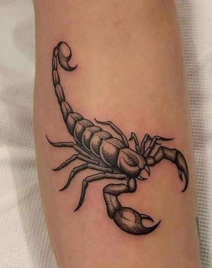 Großer Skorpion