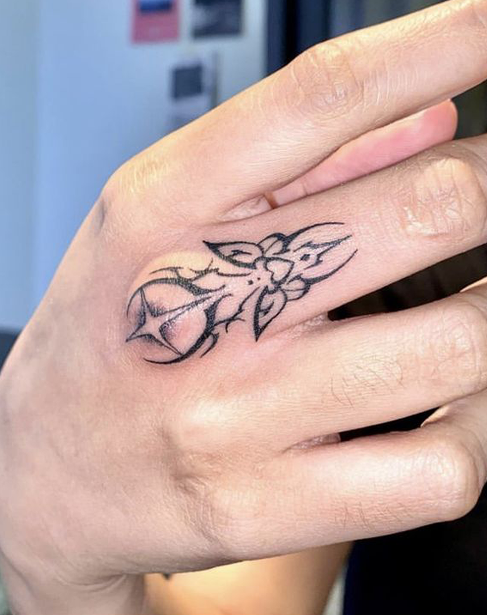 Stunning butterflies