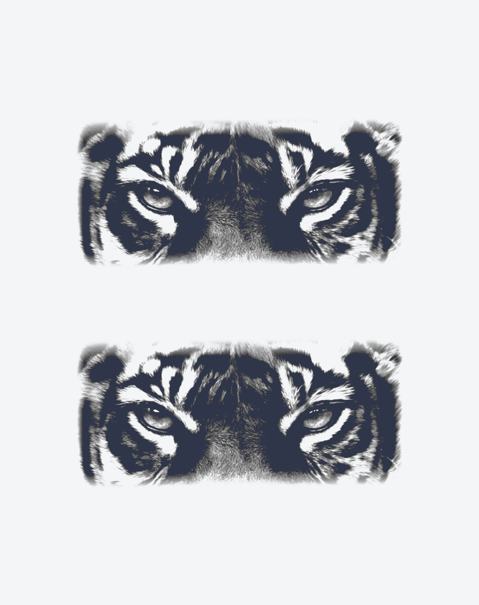 The eyes of a tiger