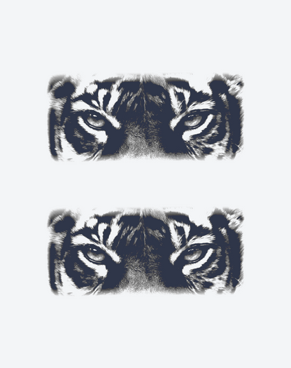 The eyes of a tiger