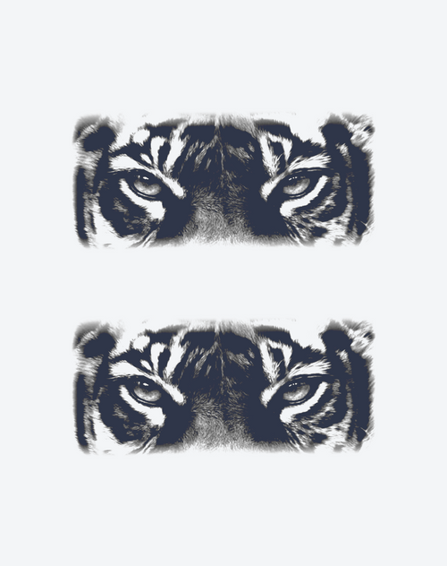 The eyes of a tiger