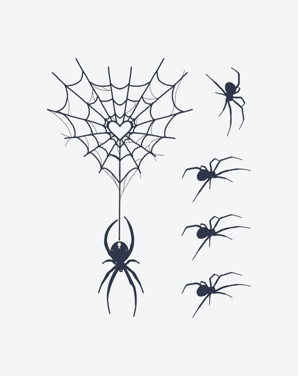 Spiders and Spider Webs