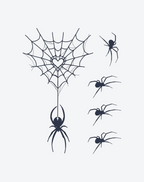 Spiders and Spider Webs