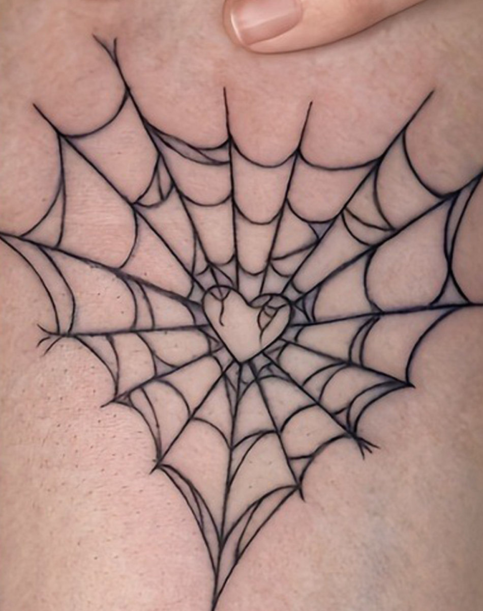 Spiders and Spider Webs