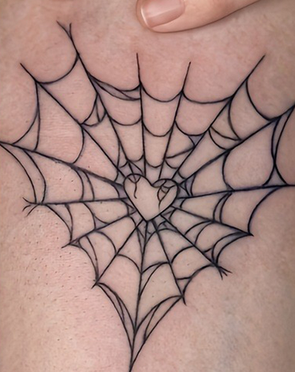 Spiders and Spider Webs
