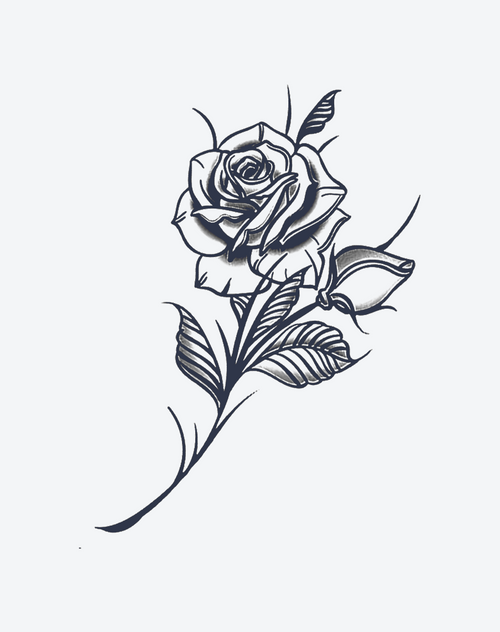Rose flower