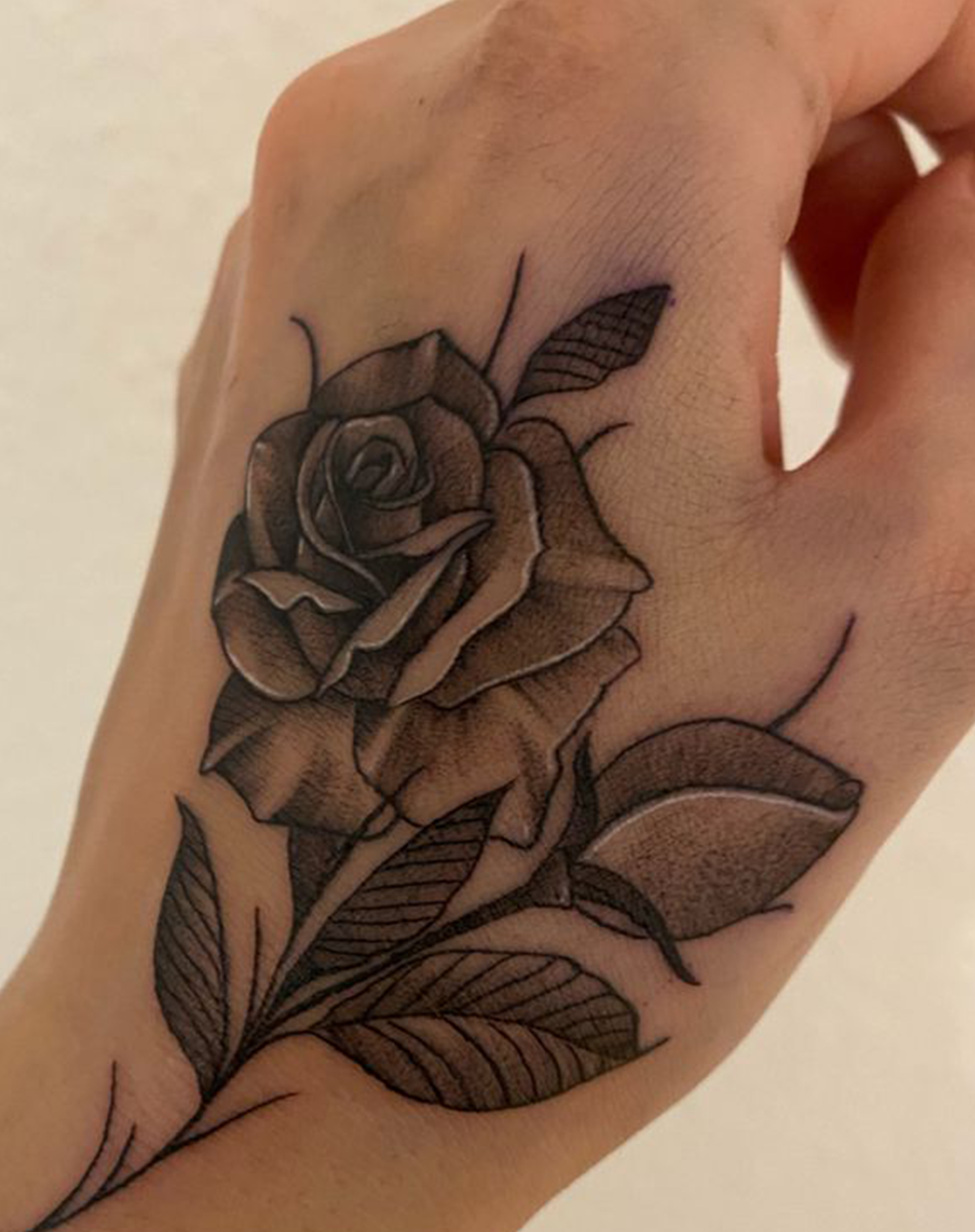Rose flower