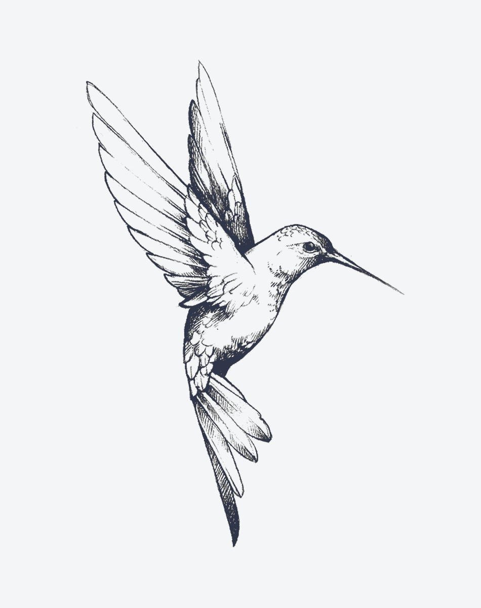 Hummingbird Grace