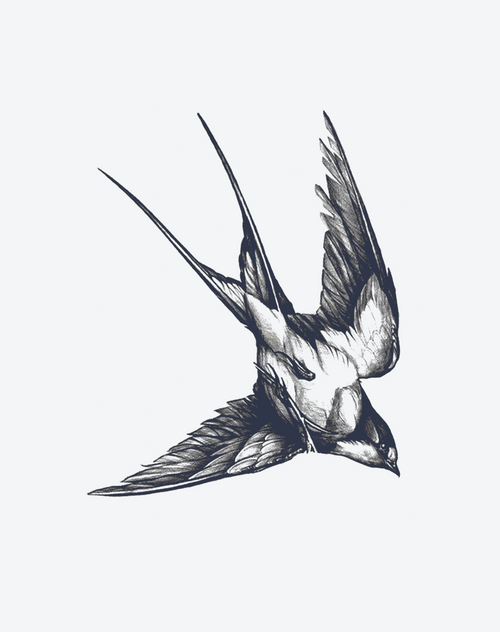 Soaring Swift