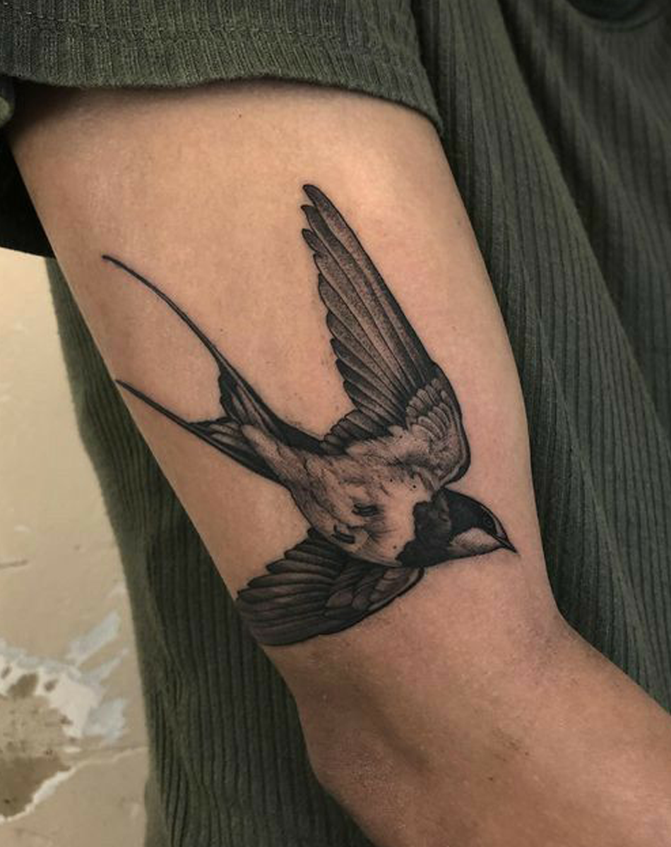 Soaring Swift
