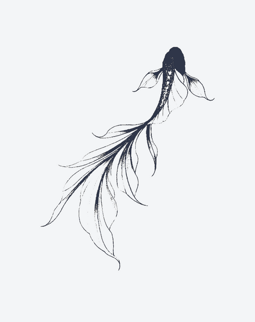 Flowing Fin