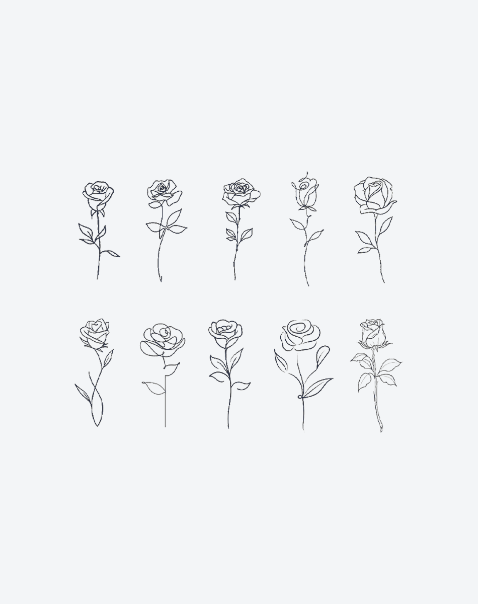 Rose flower
