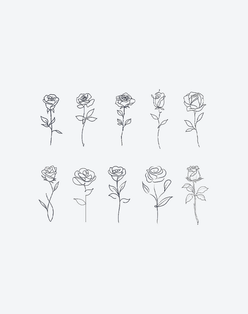 Rose flower