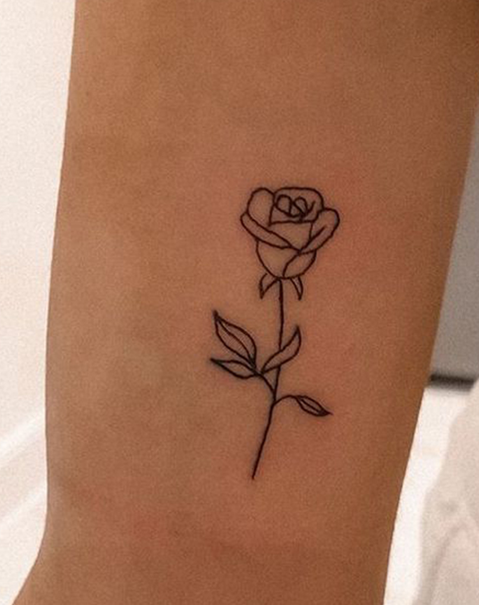 Rose flower