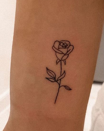 Rose flower