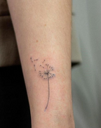 Dandelion