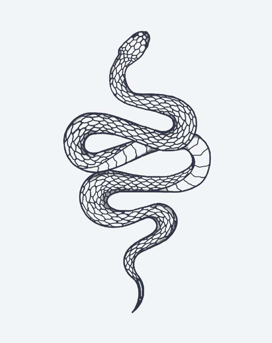 Serpent's Coil